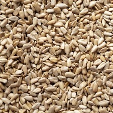 20kg sunflower hearts for sale  BLACKBURN