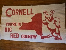 Cornell university big for sale  Willseyville