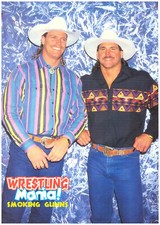 Poster din wrestling gebraucht kaufen  Niesky