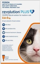 Revolution plus medium for sale  Voluntown