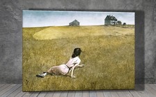 Christina andrew wyeth for sale  LONDON