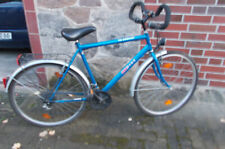 Gutes herrenfahrrad zoll gebraucht kaufen  Ebstorf
