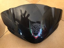 Rivestimento frontale carbonio usato  Lodi