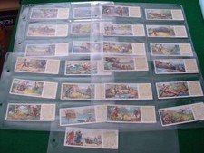 Phoo tea trade for sale  STUDLEY