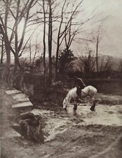 White pony 1909 for sale  LONDON