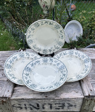 Assiettes creuses oiseaux d'occasion  Villeneuve-la-Guyard