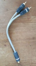 Ixos female rca for sale  NORWICH