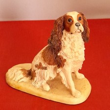 Cavalier king charles for sale  HOLSWORTHY