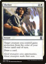 Carta mtg shelter usato  Italia