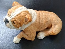 English bull dog for sale  Manheim