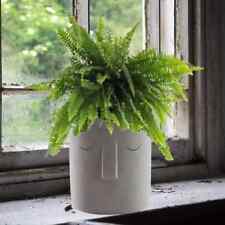 Concrete cement planter for sale  Flint