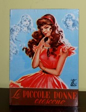 Piccole donne crescono usato  Vignate