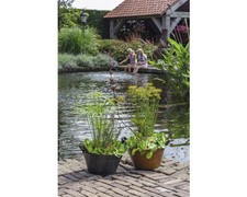 Miniteich floraself pflanzen gebraucht kaufen  Deutschland
