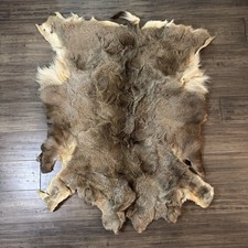 Whitetail deer skin for sale  Flagstaff