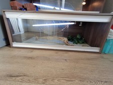 Lizard tank old for sale  LIVERPOOL