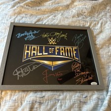Wwe autographed signed for sale  Berlin