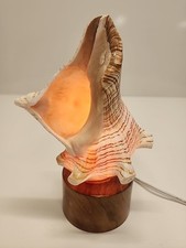 Vintage conch shell for sale  Temperance