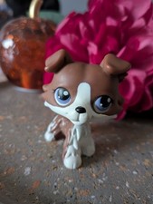 Littlest petshop colley d'occasion  Trets