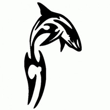 tica dolphin usato tica dolphin usato Italia