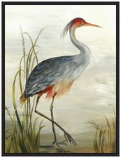 Amanti art framed for sale  USA