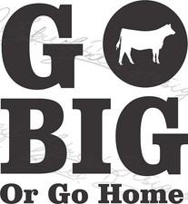 Big home heifer for sale  Huffman