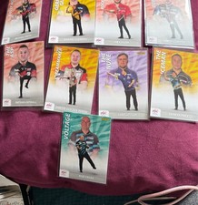 Panini pdc 2025 for sale  SCARBOROUGH
