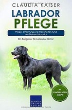 Labrador pflege pflege gebraucht kaufen  Berlin