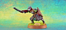Warrior captain with gebraucht kaufen  Deutschland