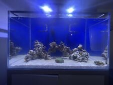 Marine fish tank for sale  UK