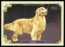 2024 topps allen for sale  Zeeland