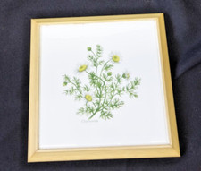 Ceramic tile framed for sale  CHELMSFORD