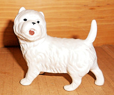 Highland terrier dog for sale  WITNEY