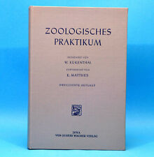 Zoologisches praktikum kükent gebraucht kaufen  Bitterfeld