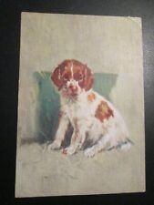Postcard welsh springer for sale  MABLETHORPE