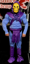 Skeletor masters universe for sale  Temecula