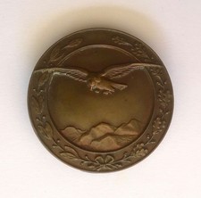 Distintivo austria aviazione usato  Polcenigo