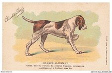 Ashp10 0635 chien d'occasion  France