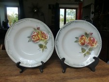 Assiettes creuses faience d'occasion  Gouville-sur-Mer
