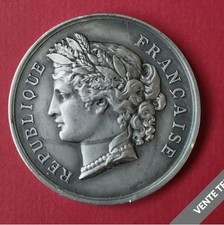 291 medaille sté d'occasion  France