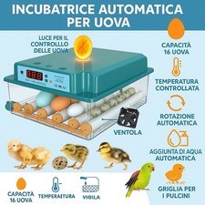 Incubatrice per uova usato  Rodi Garganico