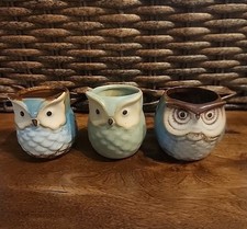 Owl succulent plants for sale  Woodbridge