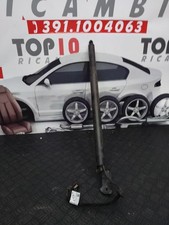 Ammortizzatore bagagliaio post usato  Taurianova