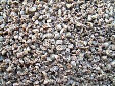 Granulatfutter grob 1000ml gebraucht kaufen Granulatfutter grob 1000ml gebraucht kaufen  Dresden