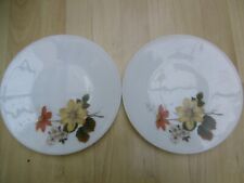 Pair pyrex autmun for sale  STAFFORD