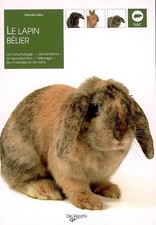 Lapin belier veronika d'occasion  France