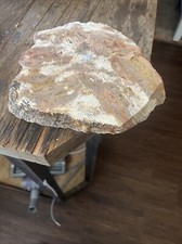 Dryhead agate slab for sale  Bakersfield