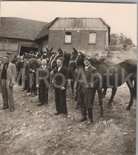 Foto übernahme pferde gebraucht kaufen  Jena