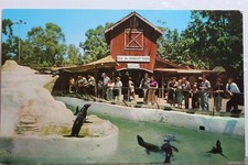 California knott berry for sale  Wilmington