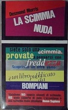 Desmond morris scimmia usato  Italia