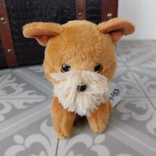 Russ petooties schnauzer for sale Russ petooties schnauzer for sale  NORWICH